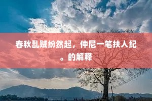 春秋乱贼纷然起，仲尼一笔扶人纪。的解释