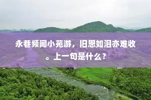 永巷频闻小苑游，旧恩如泪亦难收。上一句是什么？