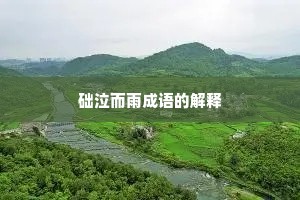 础泣而雨成语的解释