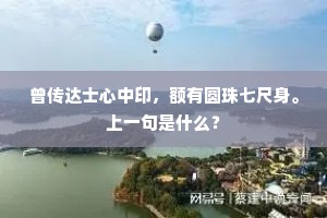 曾传达士心中印，额有圆珠七尺身。上一句是什么？