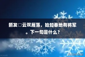 箭发□云双雁落，始知秦地有将军。下一句是什么？