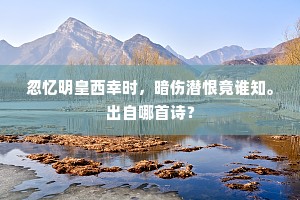 忽忆明皇西幸时，暗伤潜恨竟谁知。出自哪首诗？