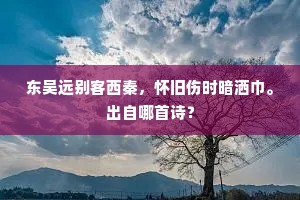 东吴远别客西秦，怀旧伤时暗洒巾。出自哪首诗？