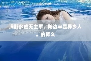 满野多成无主冢，防边半是异乡人。的释义