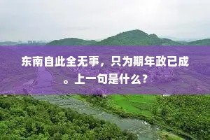 东南自此全无事，只为期年政已成。上一句是什么？