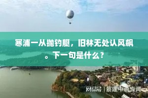 寒浦一从抛钓艇，旧林无处认风飙。下一句是什么？