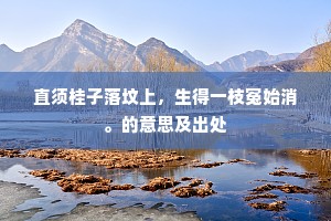 直须桂子落坟上，生得一枝冤始消。的意思及出处