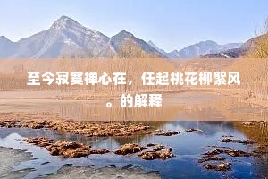 至今寂寞禅心在，任起桃花柳絮风。的解释