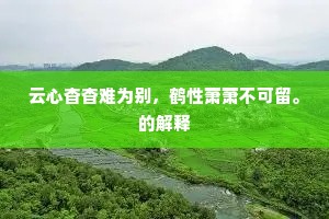 云心杳杳难为别，鹤性萧萧不可留。的解释