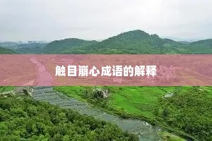 触目崩心成语的解释