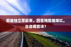 那堪独立思前事，回首残阳雉堞红。出自哪首诗？