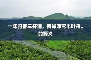 一年归客三杯酒，两岸啼莺半叶舟。的释义