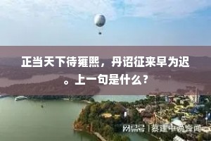 正当天下待雍熙，丹诏征来早为迟。上一句是什么？