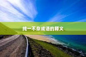 纯一不杂成语的释义