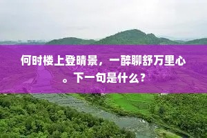 何时楼上登晴景，一醉聊舒万里心。下一句是什么？