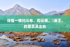 待插一枝归斗帐，和云雨，殢襄王。的意思及出处