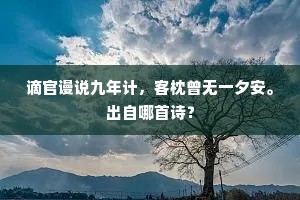 谪官谩说九年计，客枕曾无一夕安。出自哪首诗？