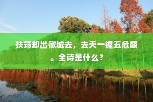 扶筇却出徽城去，去天一握五危巅。全诗是什么？