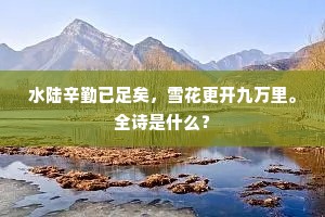 水陆辛勤已足矣，雪花更开九万里。全诗是什么？