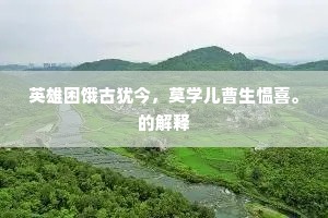 英雄困饿古犹今，莫学儿曹生愠喜。的解释