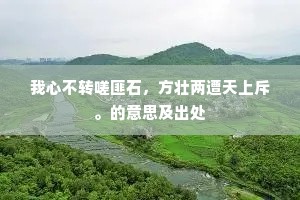 我心不转嗟匪石，方壮两遭天上斥。的意思及出处