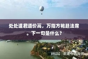 处处逢君道价高，万指方袍趋法席。下一句是什么？