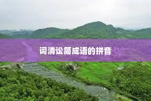 词清讼简成语的拼音
