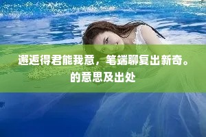 邂逅得君能我意，笔端聊复出新奇。的意思及出处