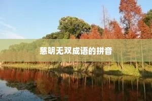 慈明无双成语的拼音