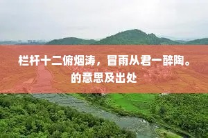 栏杆十二俯烟涛，冒雨从君一醉陶。的意思及出处