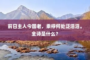 前日主人今国老，乘桴何处泛滔滔。全诗是什么？
