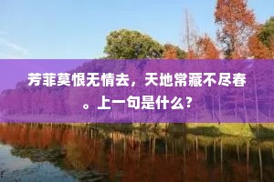 芳菲莫恨无情去，天地常藏不尽春。上一句是什么？