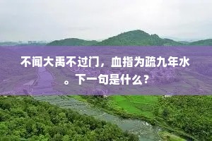 不闻大禹不过门，血指为疏九年水。下一句是什么？