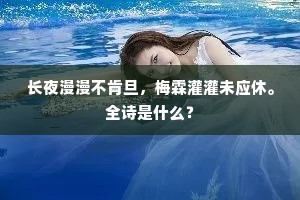 长夜漫漫不肯旦，梅霖灌灌未应休。全诗是什么？
