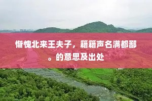 惭愧北来王夫子，籍籍声名满都鄙。的意思及出处