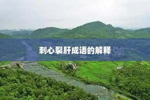 刺心裂肝成语的解释
