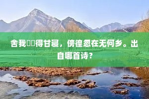 舍我帡幪得甘寝，傍徨忽在无何乡。出自哪首诗？