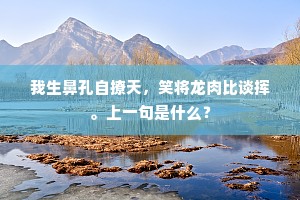 我生鼻孔自撩天，笑将龙肉比谈挥。上一句是什么？