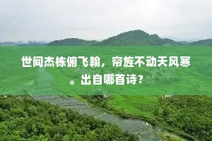 世间杰栋俯飞翰，帘旌不动天风寒。出自哪首诗？