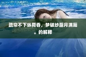疏帘不下纵荷香，梦破纱厨月满廊。的解释