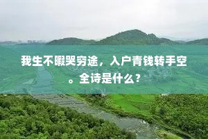 我生不暇哭穷途，入户青钱转手空。全诗是什么？