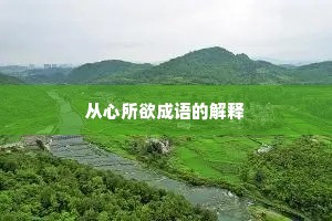 从心所欲成语的解释