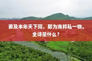 要及丰年天下同，那为海邦私一物。全诗是什么？