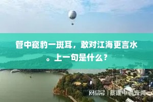 管中窥豹一斑耳，敢对江海更言水。上一句是什么？