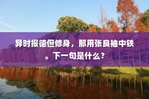 异时报德但修身，那用张良袖中铁。下一句是什么？