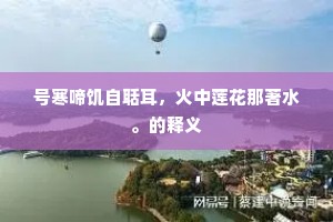 号寒啼饥自聒耳，火中莲花那著水。的释义