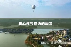 粗心浮气成语的释义