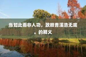 当知此雨非人功，政赖曹溪浩无底。的释义