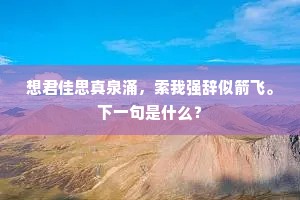 想君佳思真泉涌，索我强辞似箭飞。下一句是什么？