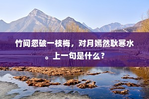竹间忽破一枝梅，对月嫣然耿寒水。上一句是什么？